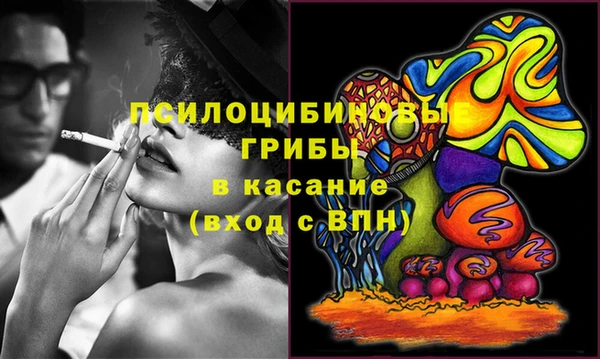 PSILOCYBIN Абинск