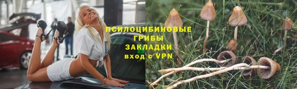 героин Алзамай