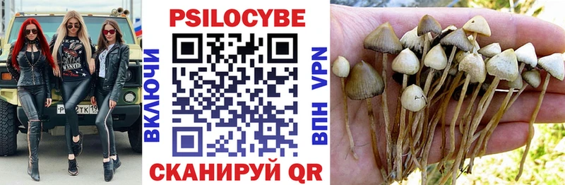 Псилоцибиновые грибы Cubensis  Руза 